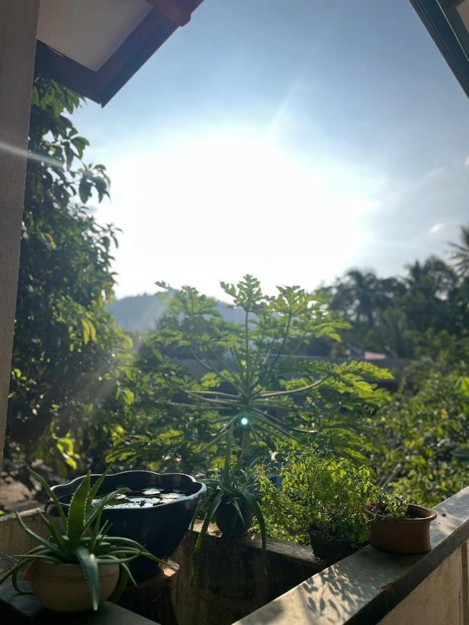 Apartmán Rustic Mahaweli Kandy Exteriér fotografie